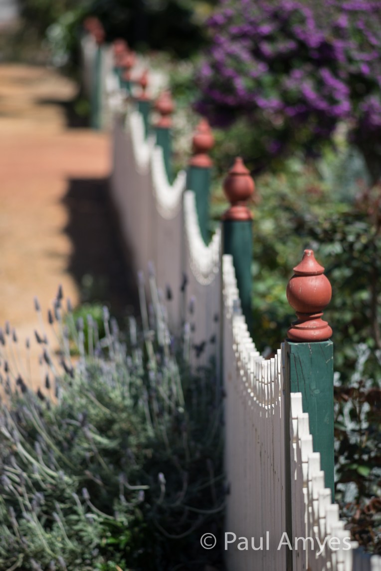 Just to demonstarte the effect of stopping this lens down has on DOF. This is wide open at f2.8.