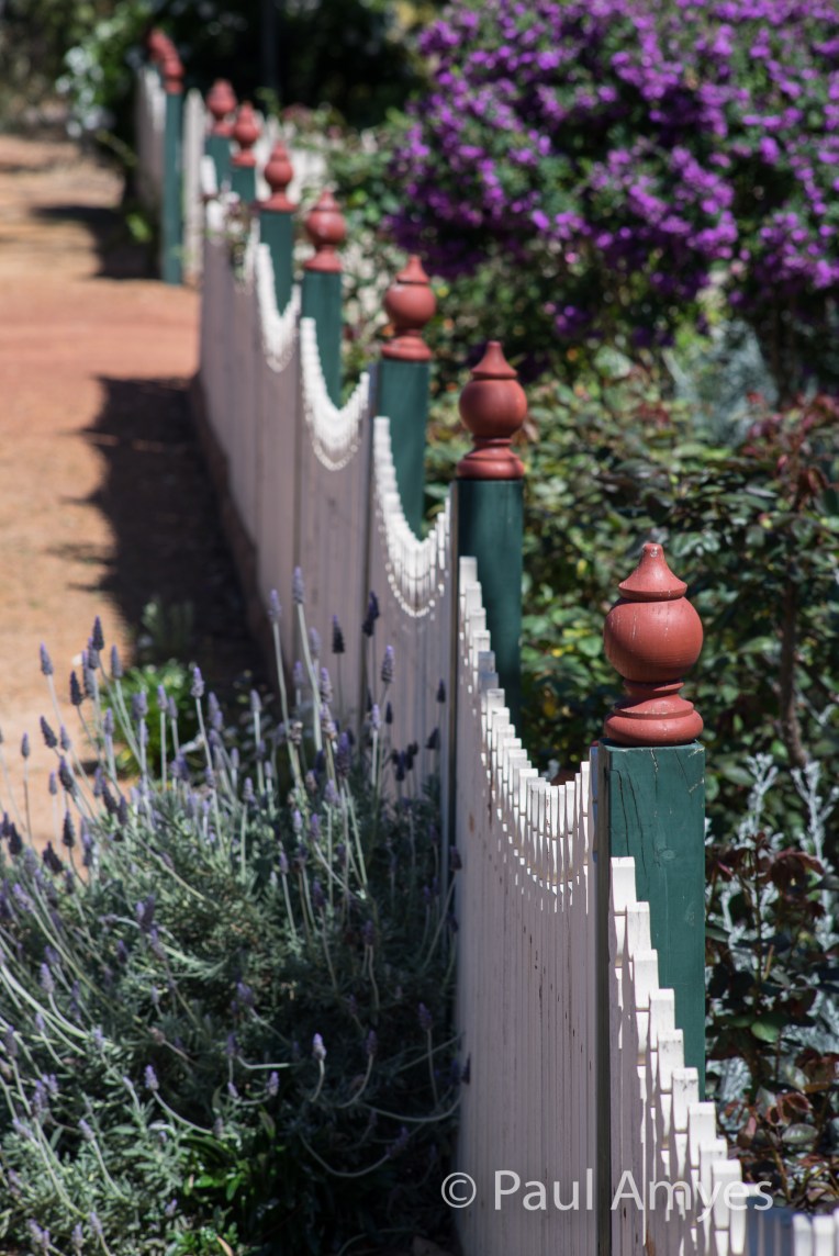 Just to demonstarte the effect of stopping this lens down has on DOF. This is f8.