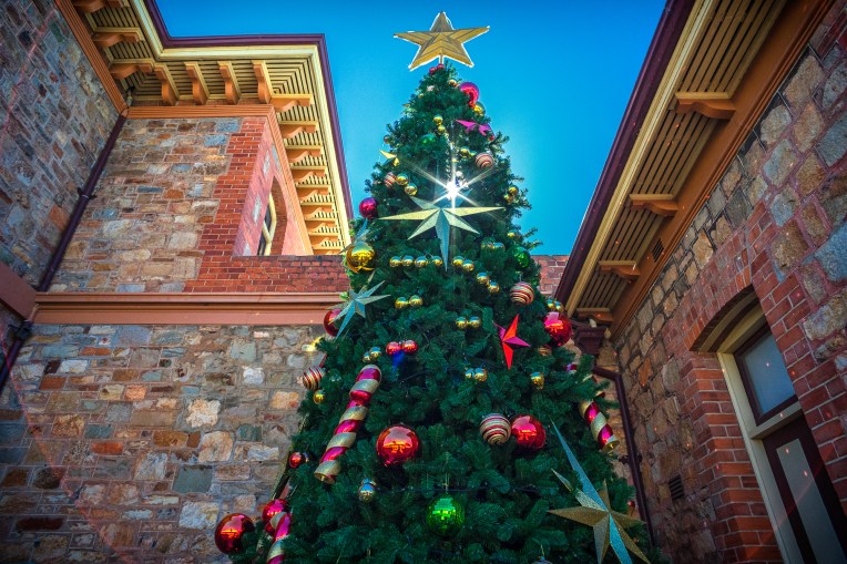 Shooting into the sun flare is very well controlled for such a wide lens. Note the sun star - the six aperture blades create a nice effect when stopped down to f16. The Shire of York Christmas tree for 2016 on Avon Terrace.
